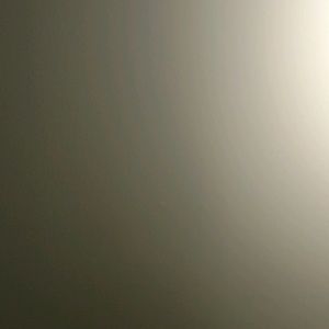 Meet your Posher, Terrell